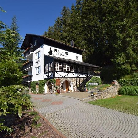 Pension St. Moritz Železná Ruda Esterno foto
