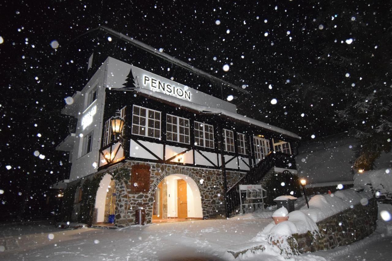 Pension St. Moritz Železná Ruda Esterno foto